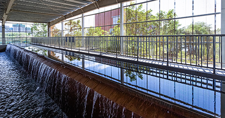 Koagulatzaileen eginkizuna